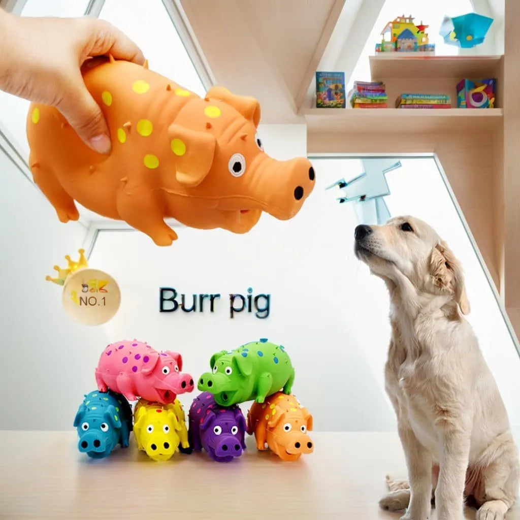 Colourful pig-shaped latex dog chew toy with textured surface for teeth cleaning