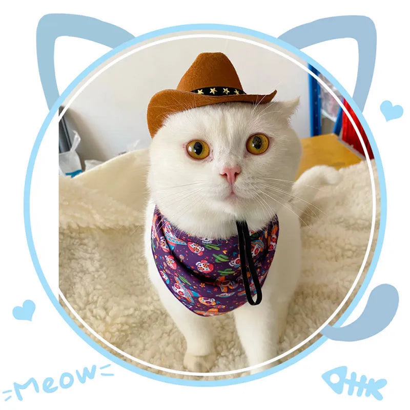 British cat cowboy hat in non-woven fabric with pointed ears, shown in black with ribbon trim