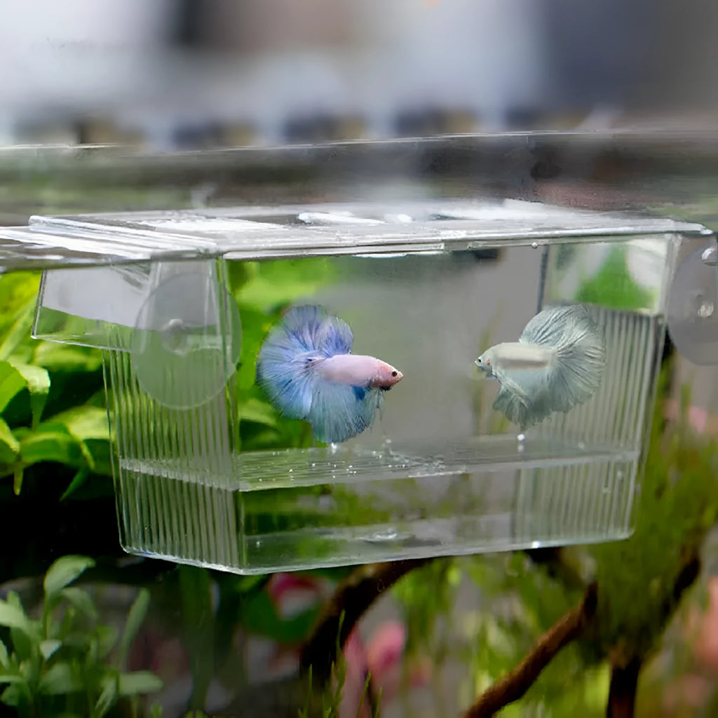 Transparent PS plastic aquarium incubation box 12.5x7x7cm for fish breeding isolation horizontal hatchery