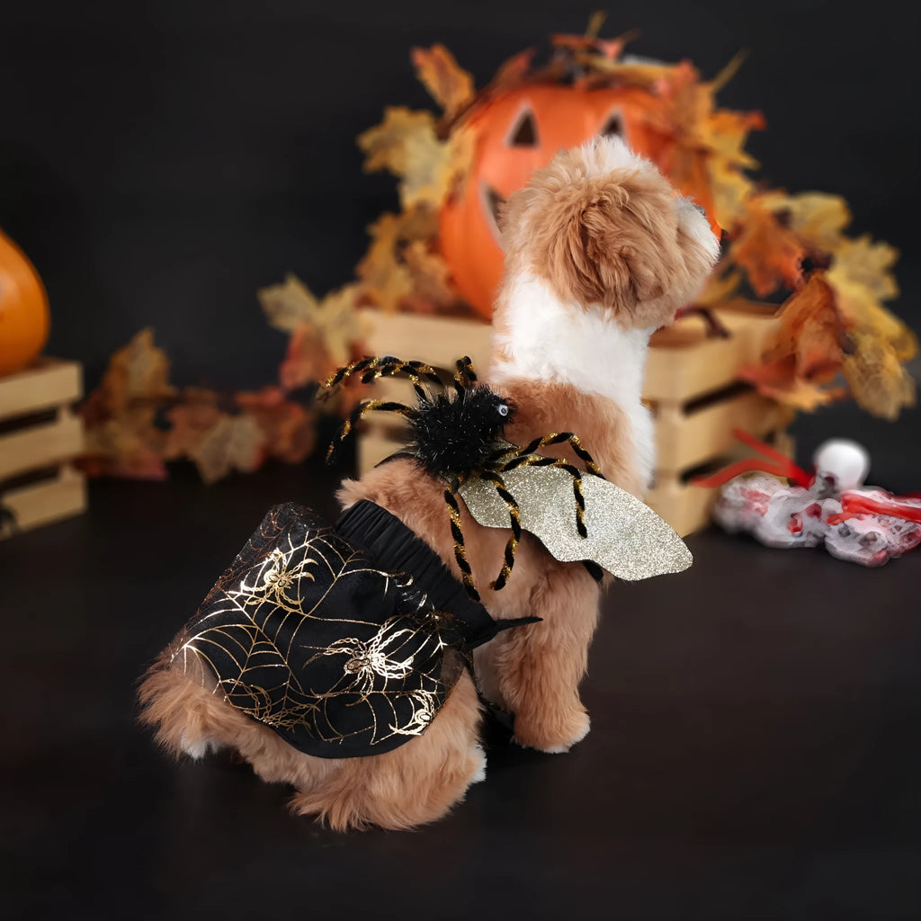 Colourful polyester dog Halloween costume suit shown in sizes S, M, L, XL for party events.
