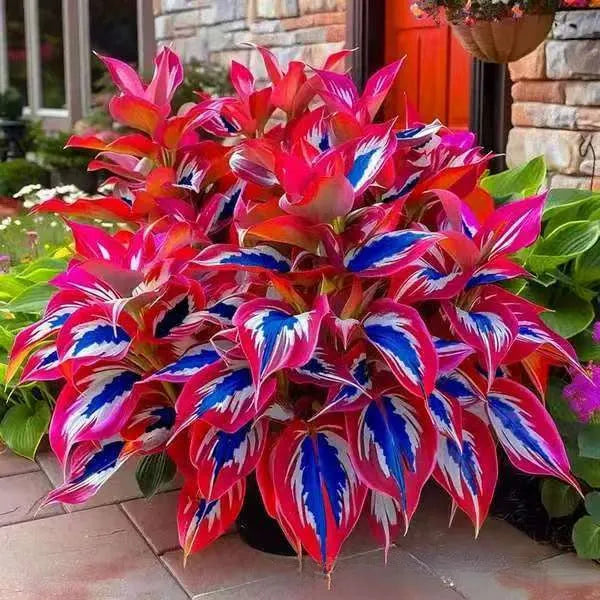 Pack of 50 coloured leaves jade barrettes flower seeds in clear OPP packaging.