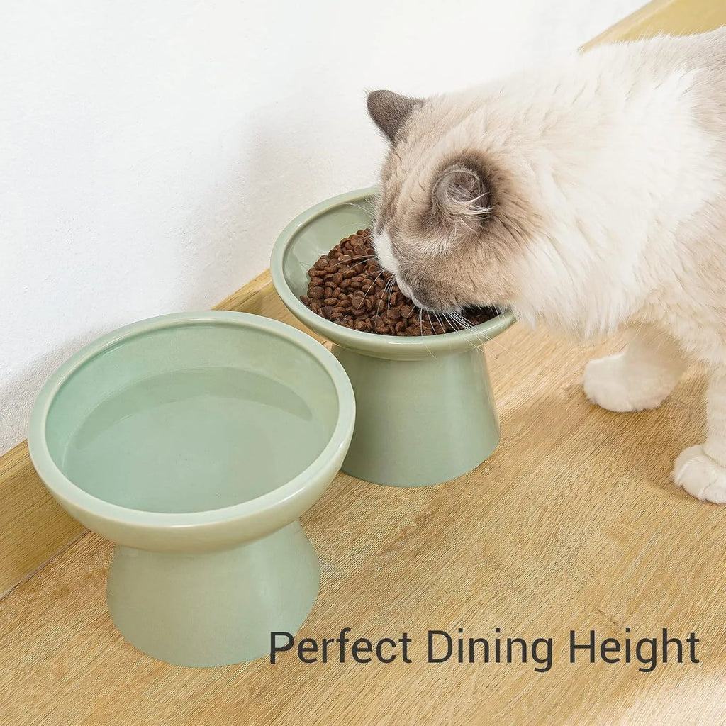 Blue elevated ceramic cat bowl with wide shallow dish on a white background.