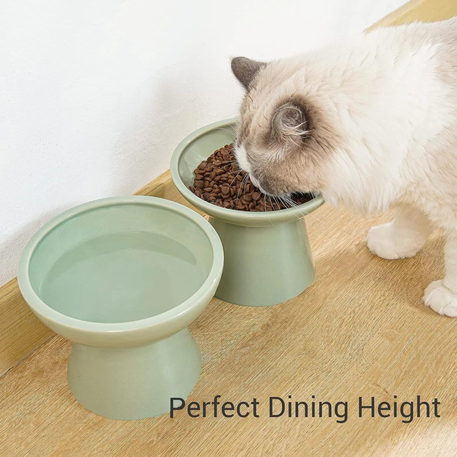 Blue elevated ceramic cat bowl with wide shallow dish on a white background.