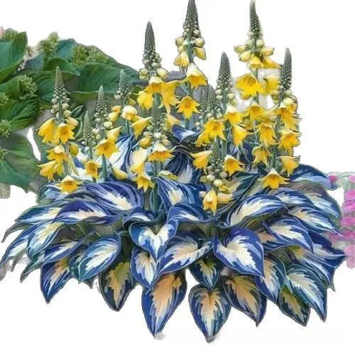 Pack of 50 coloured leaves jade barrettes flower seeds in clear OPP packaging.