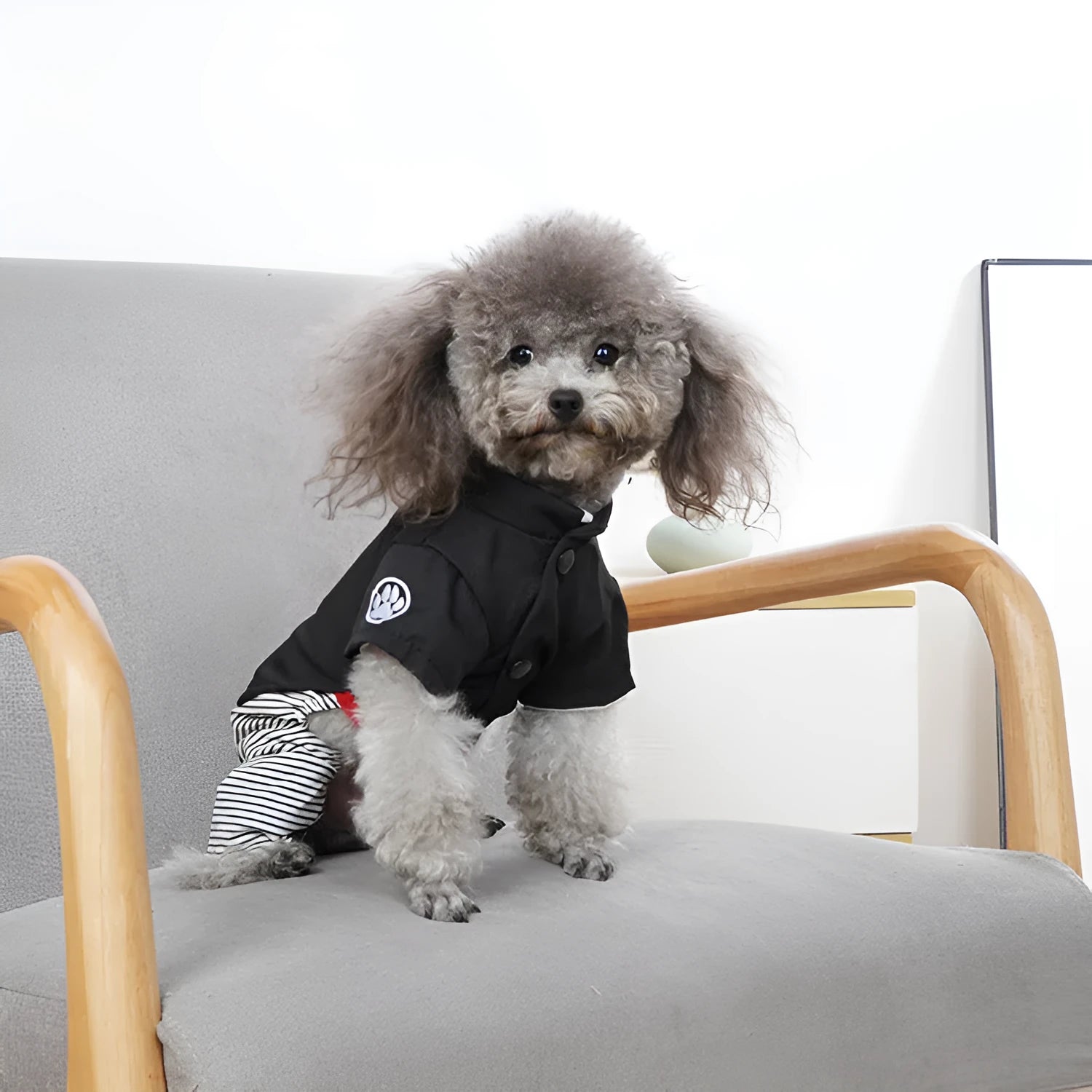 Cotton poodle dog clothes in skirt and four-legged pants styles for spring summer autumn wear