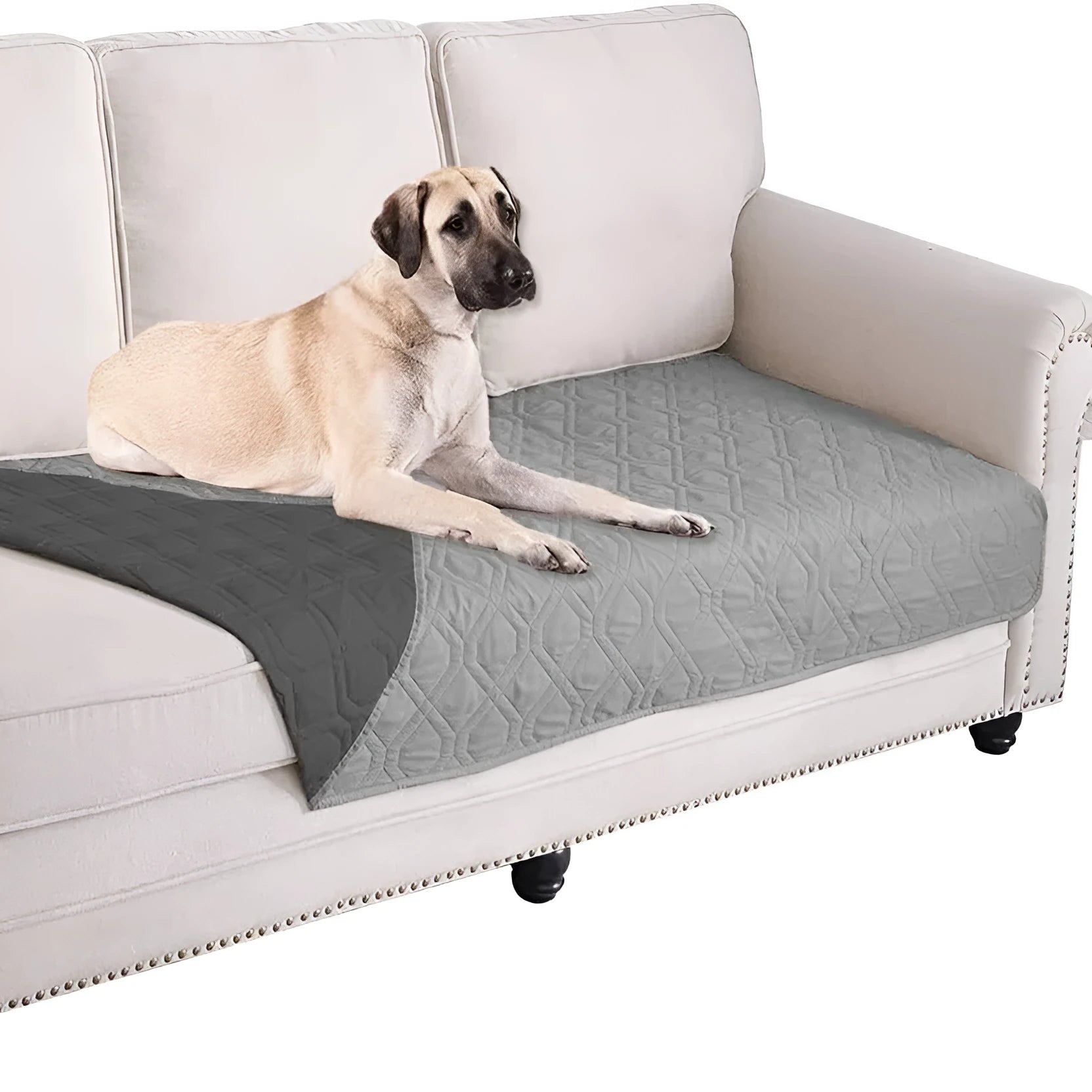 Reversible dog blanket showing two colours, laid flat on a sofa as a protective cover