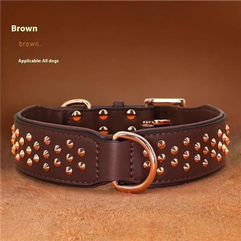 Leather dog collar with a line of stainless steel rivets, shown in black colour.