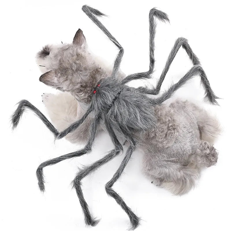Halloween spider costume for pets in polyester available in grey, brown, black, and purple colours