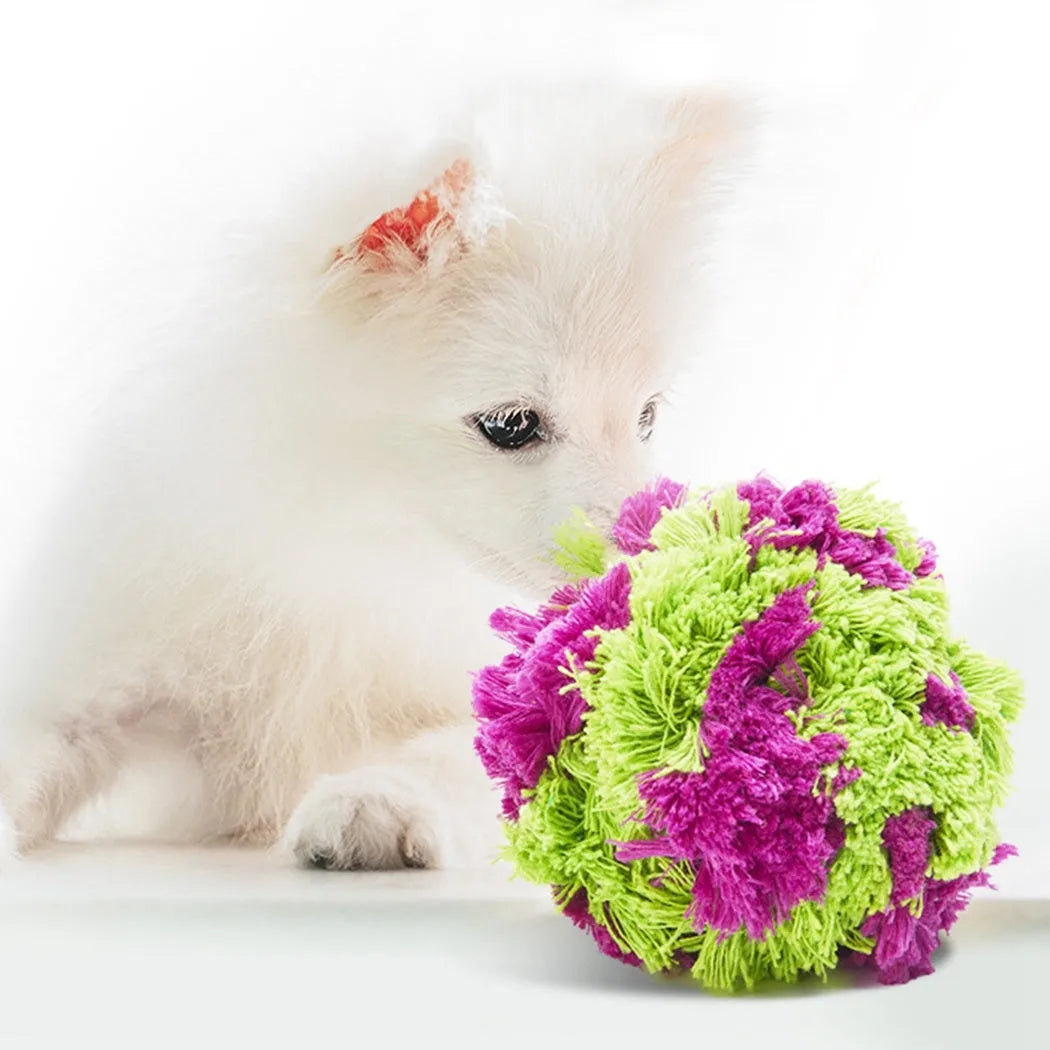 Purple plush dog chew ball approximately 15cm in diameter for teething relief and interactive play
