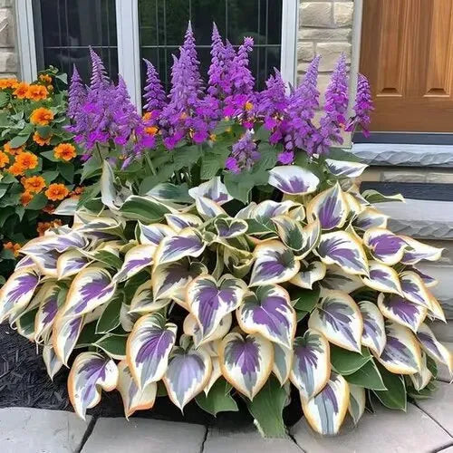 Pack of 50 coloured leaves jade barrettes flower seeds in clear OPP packaging.