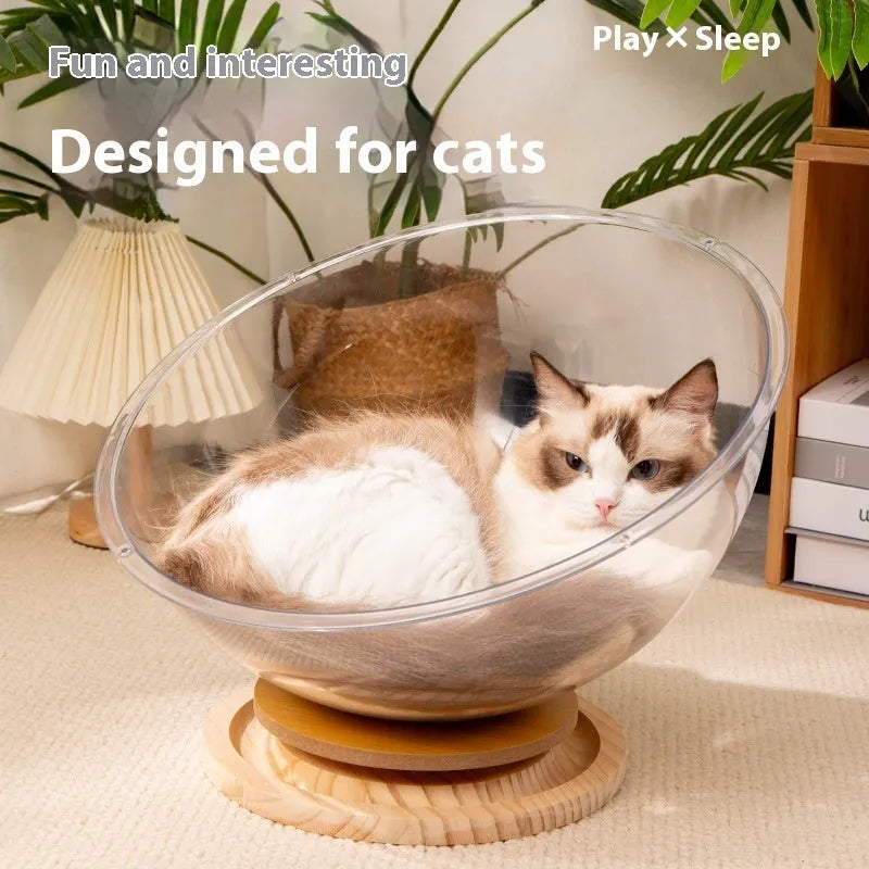 Transparent acrylic cat space capsule bed showing enclosed bathtub-like design.