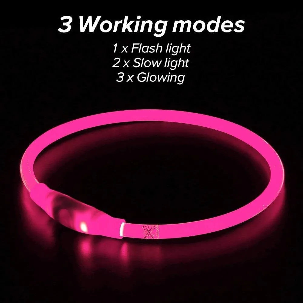 USB rechargeable LED dog safety collar with glowing light and adjustable 70cm TPU construction
