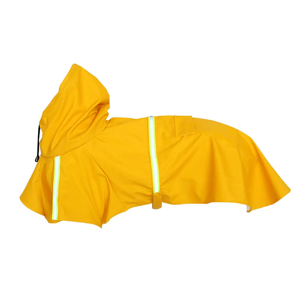 Waterproof dog raincoat in synthetic leather with reflective stripe and hood on a small dog