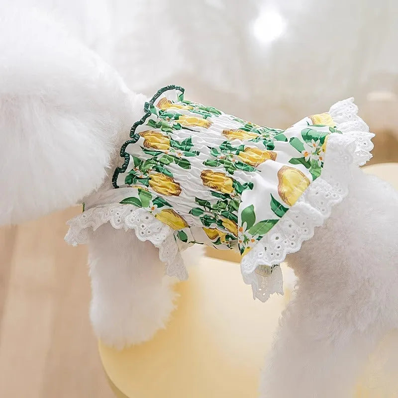 Rock yellow lemon polyester princess style dog dress with thin breathable strap skirt on a small dog.