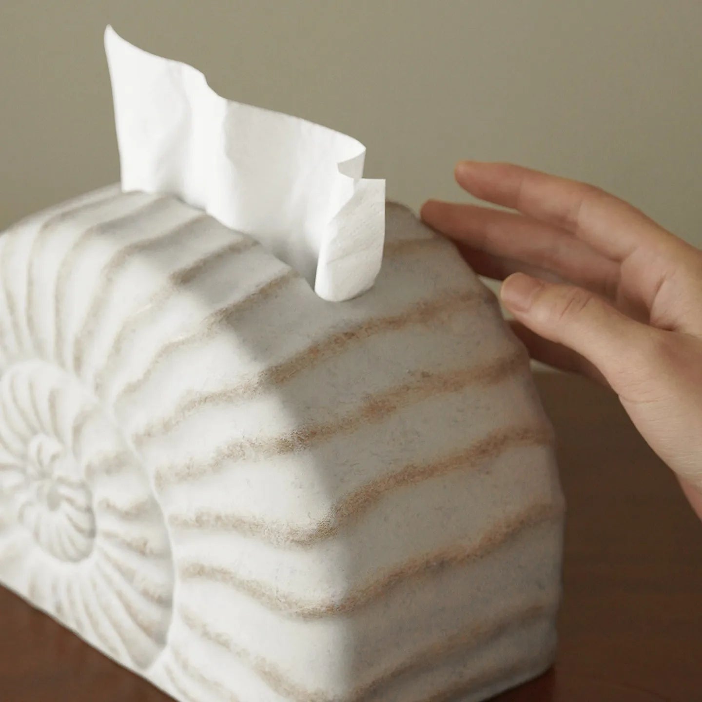 Solid resin conch-shaped tissue box cover in a natural colour on a table.