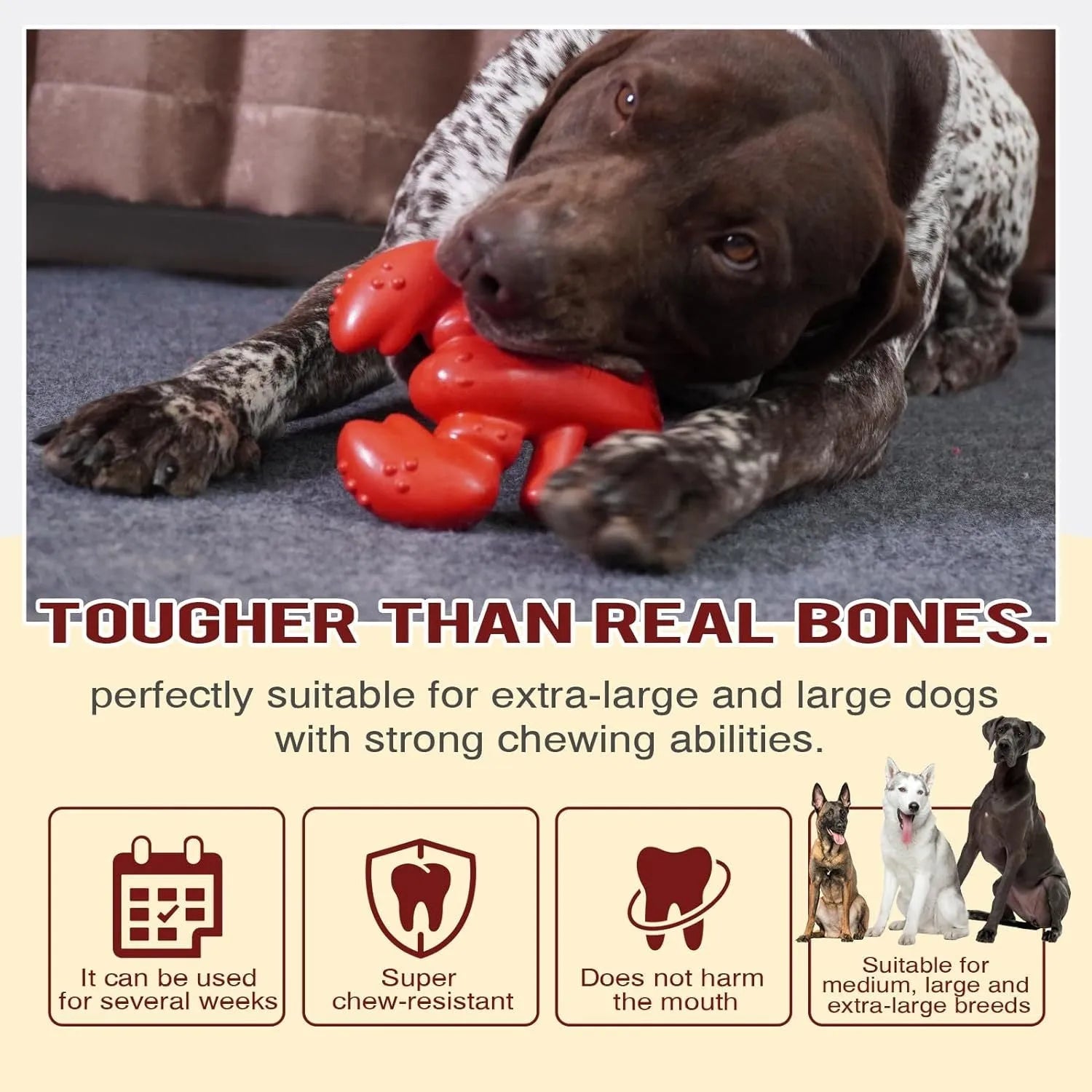Red hard material dog chew toy for large aggressive chewers measuring 170×132×57 mm