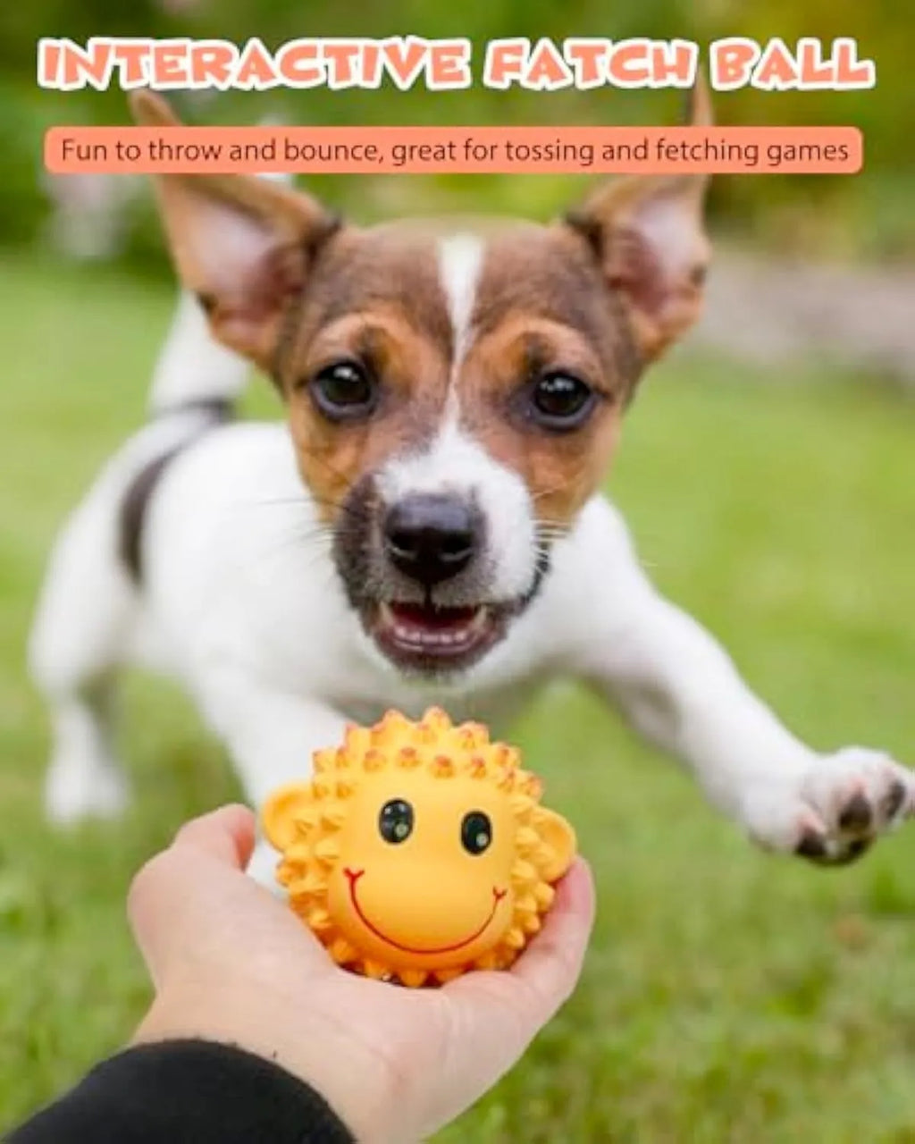 Orange and yellow latex squeaky dog toys with spiky surfaces shaped as lamb and monkey animals