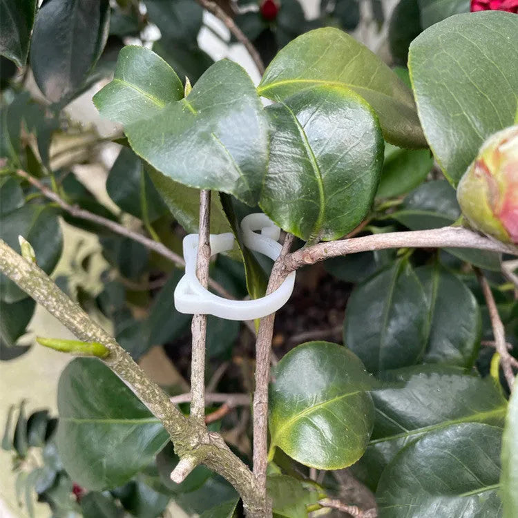 Cat-shaped plastic plant clip in garden with colourful options shown