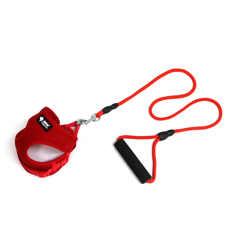 Blue dog leash with foam handle, 120cm long with adjustable collar for small to medium dogs