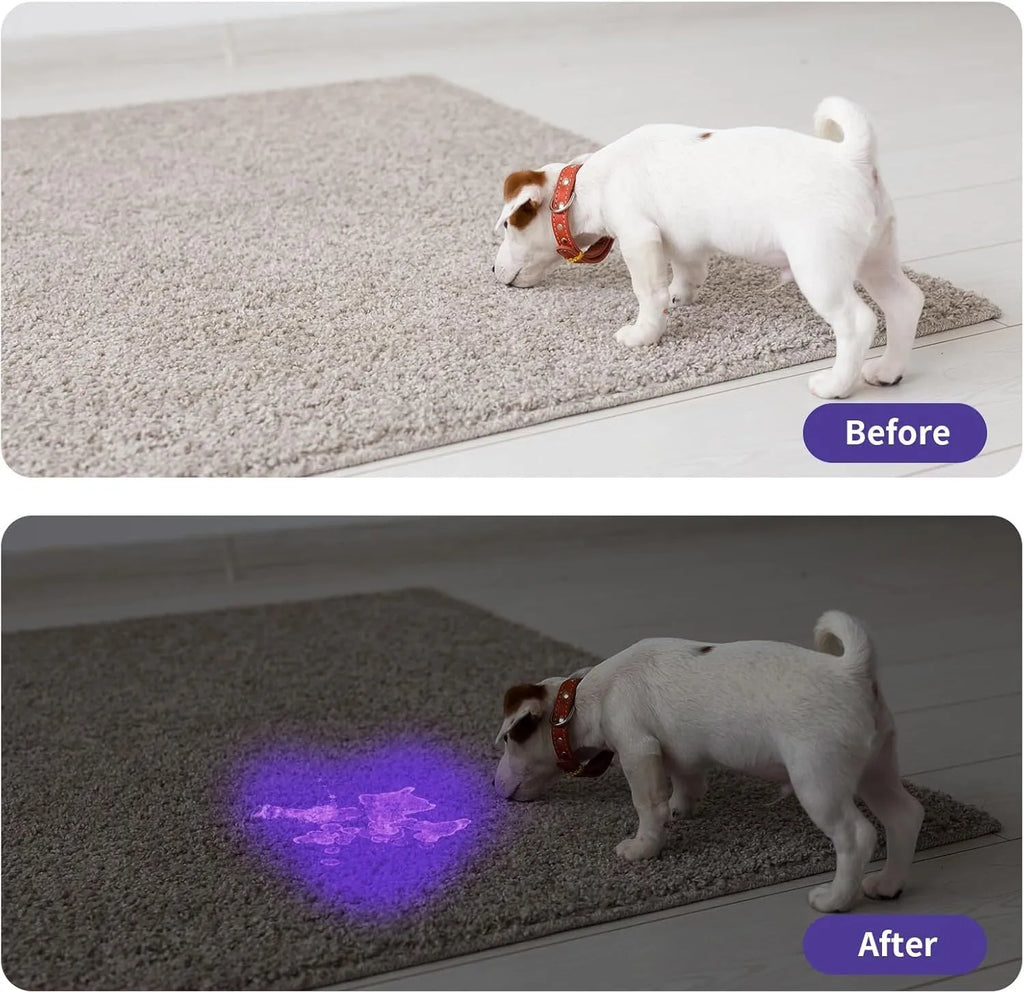 Black aluminium UV flashlight torch for detecting pet urine stains and insects on a dark surface.