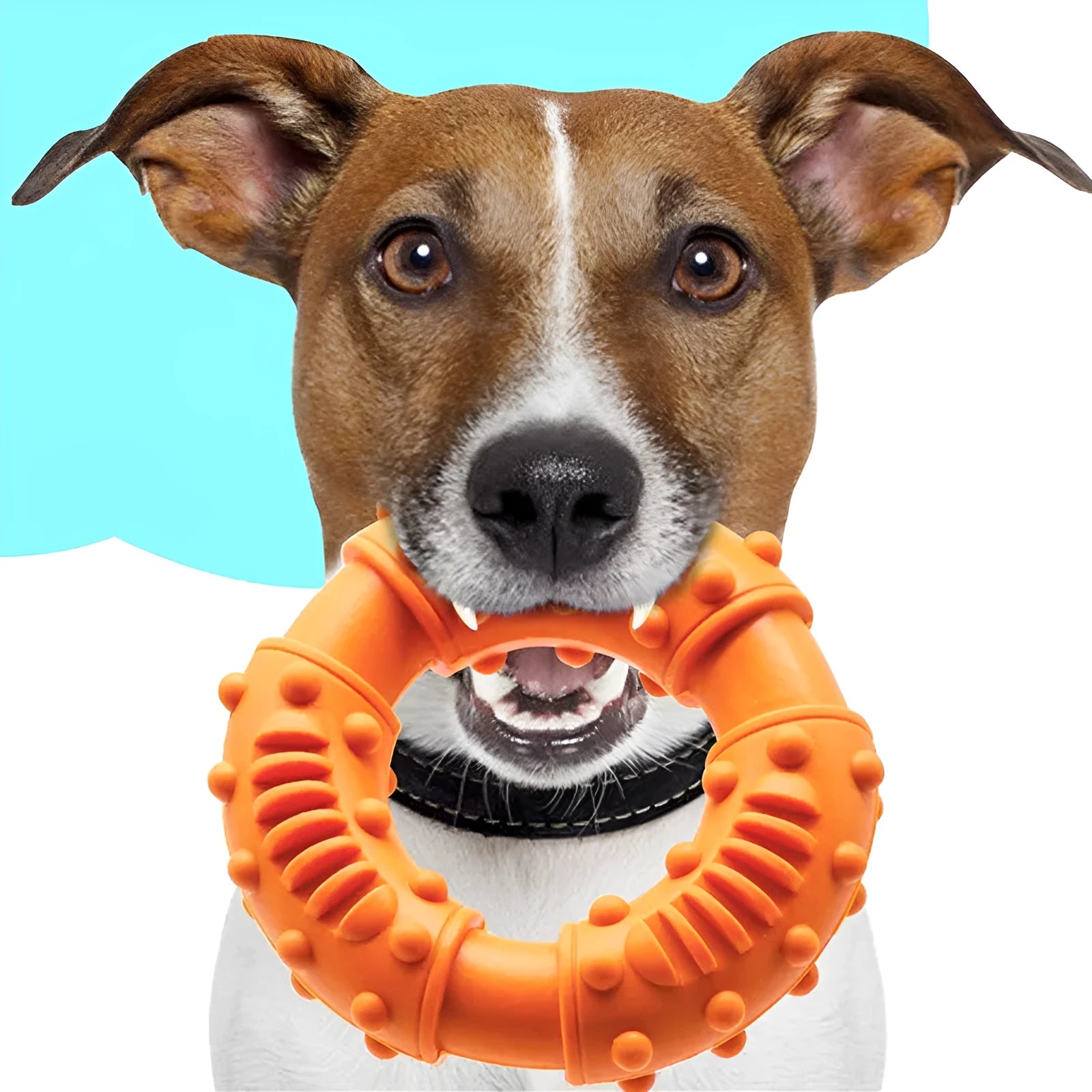 Blue hollow dog fetch stick toy for safe chewing and floating fetch games