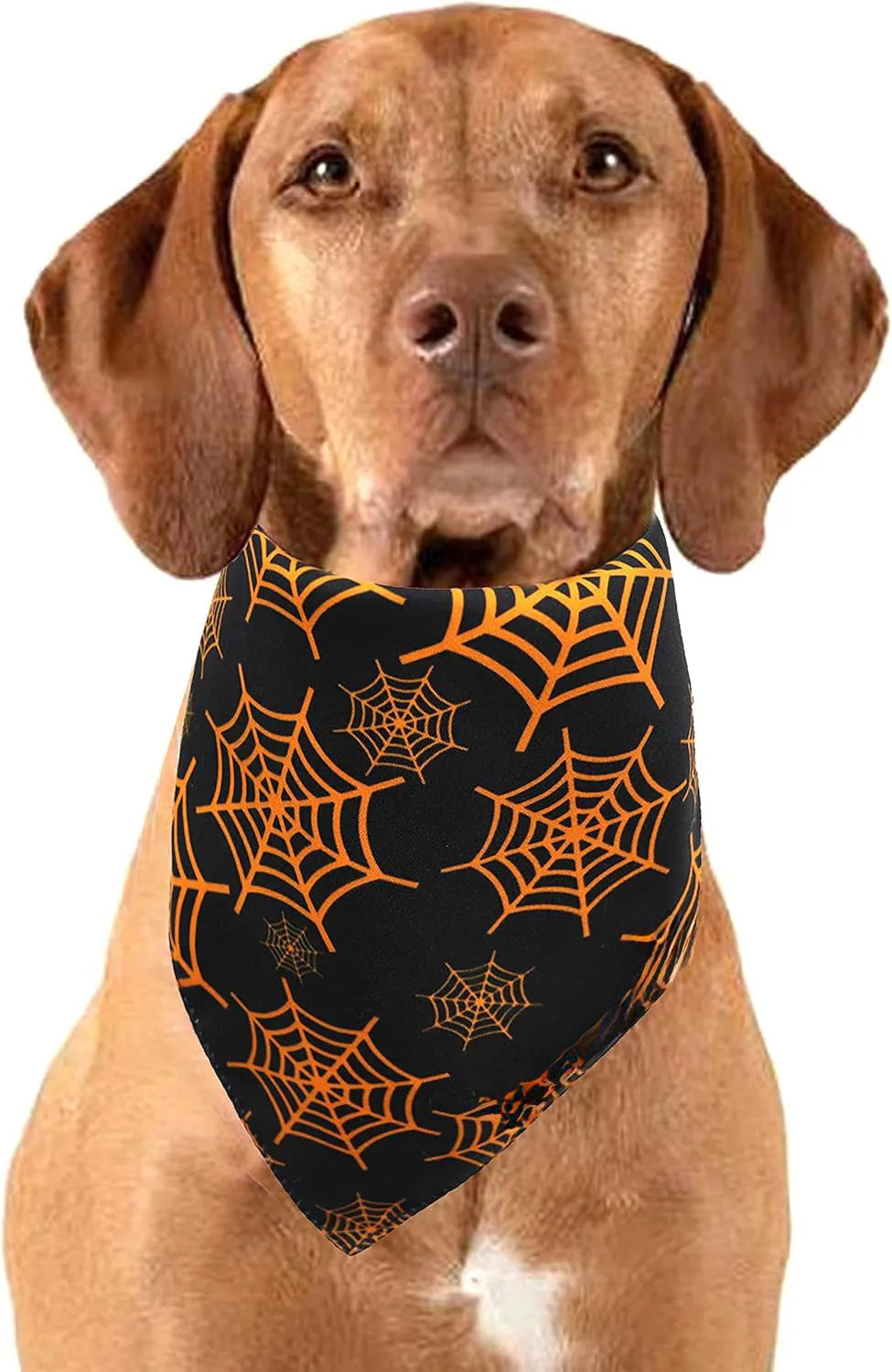 Black and orange reversible Halloween dog bandana with pumpkin and spider web patterns laid flat.