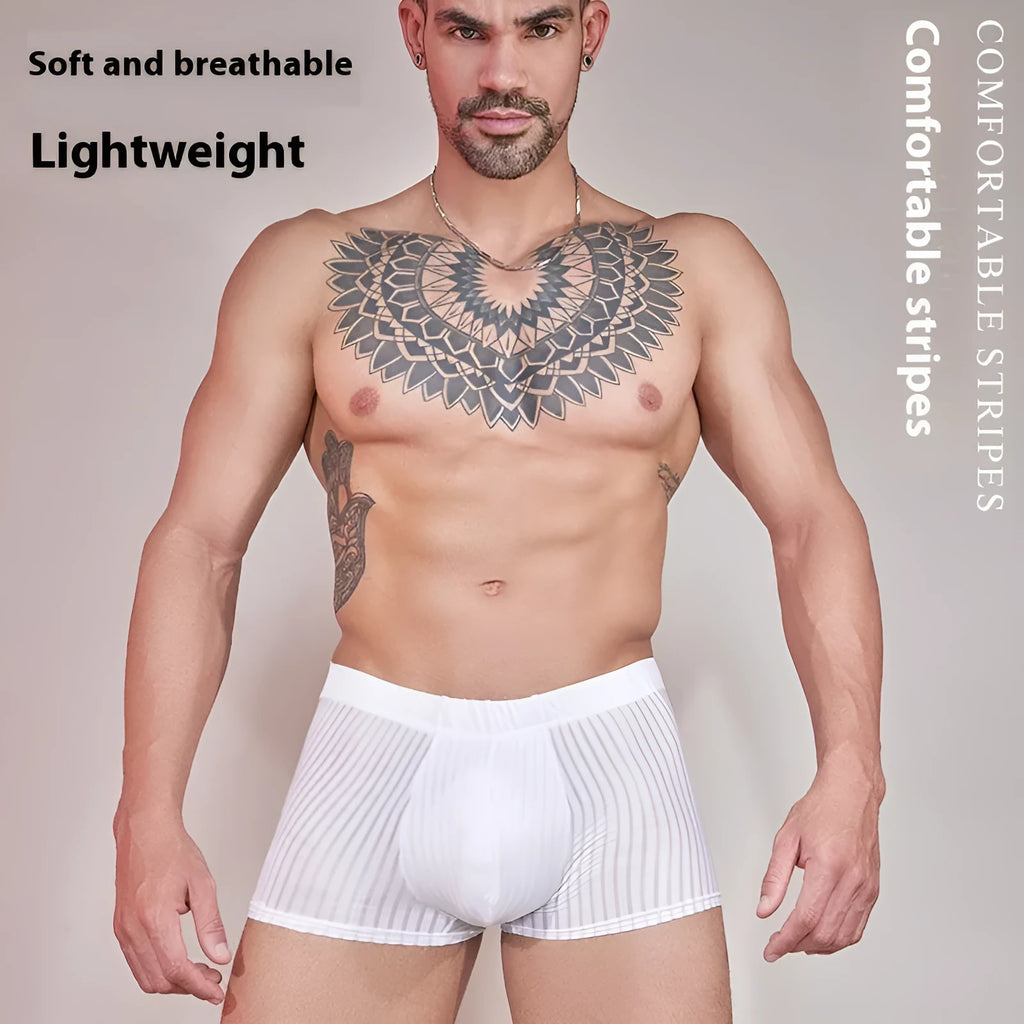 Men's striped underwear in thin transparent nylon fabric showing black, white, and dark grey colour options