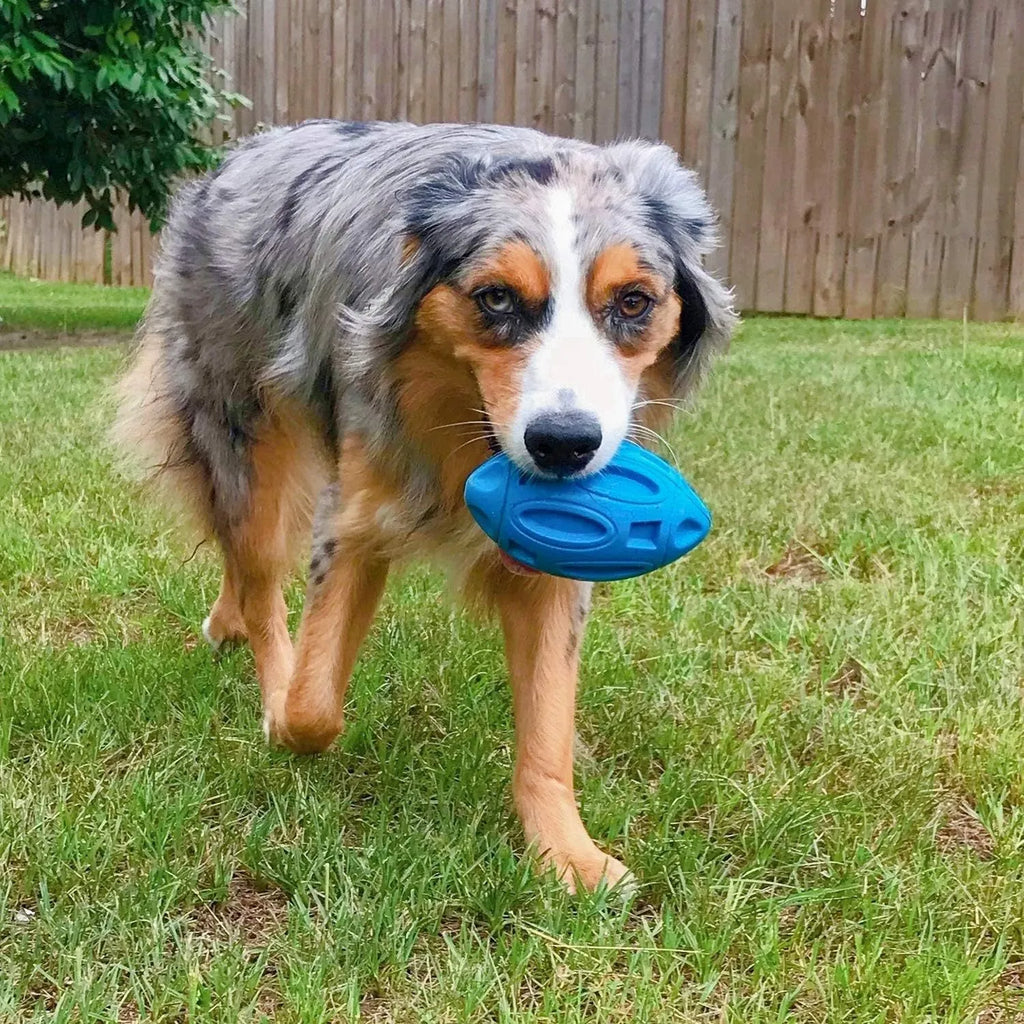 Blue, green, and orange durable natural rubber squeaky dog chew ball for medium and large breeds.