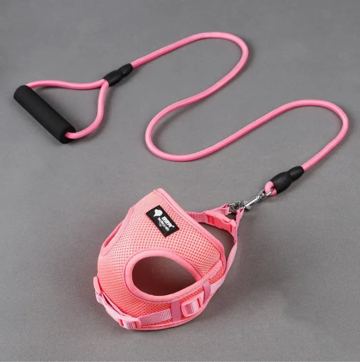 Blue dog leash with foam handle, 120cm long with adjustable collar for small to medium dogs