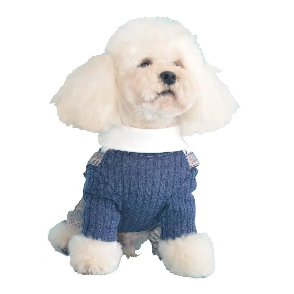 Orange cotton dog shirt with button front and fitted collar for small dogs