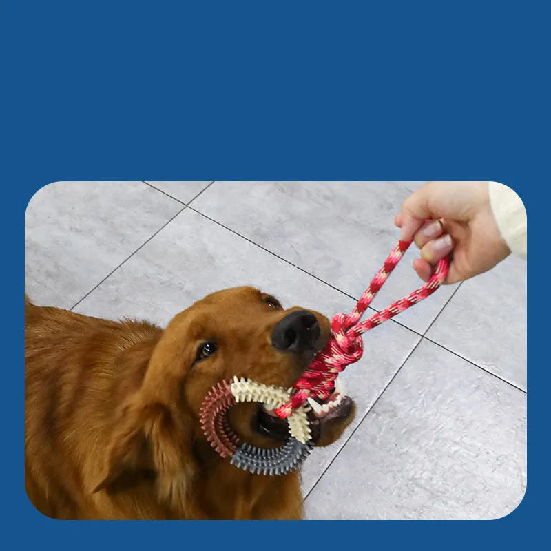 Braided rope dog toy with knot design in blue colour, 43 cm long chew toy for puppies