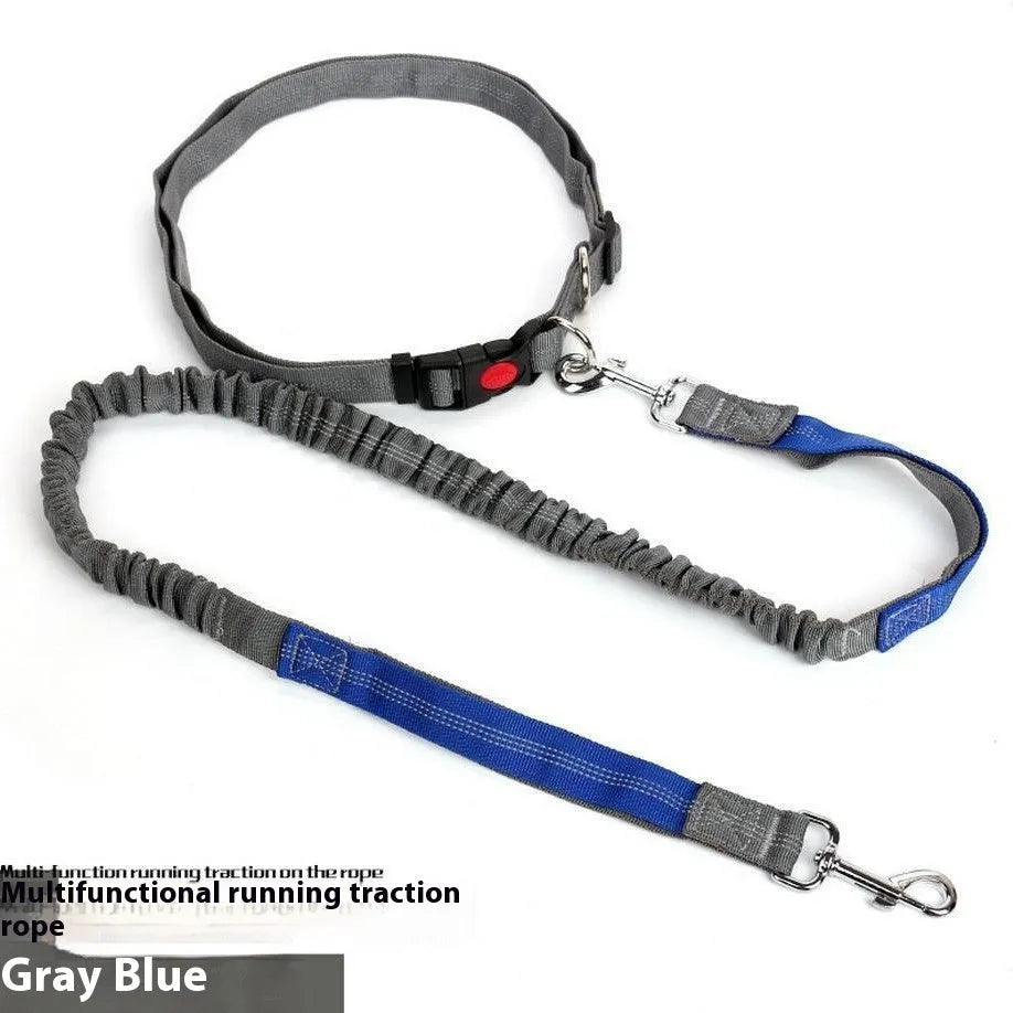 Elastic dog leash with reflective filament in gray and blue colour combination showing 2.5cm width