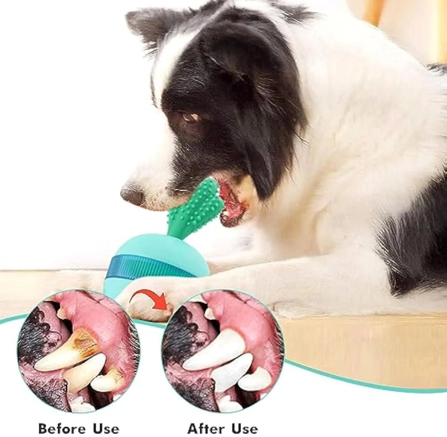 Blue and green durable rubber treat dispensing ball for medium large dogs with tumbler design