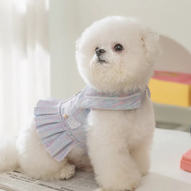 Purple and pink lightweight polyester pet clothes for small dogs and cats in sizes S, M, L, and XL.