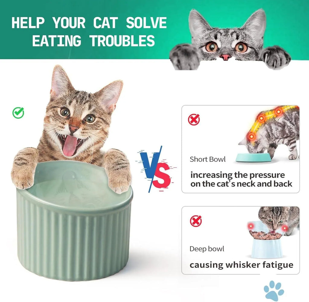 A dark green ceramic elevated cat bowl with a tilted, round shape.