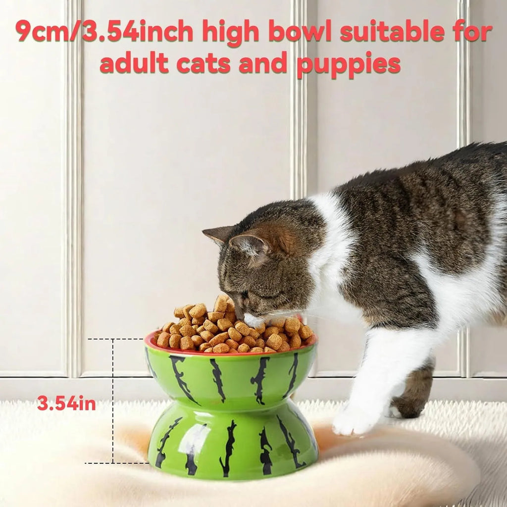Ceramic elevated cat bowl with tilted design in orange, pitaya, or watermelon patterns