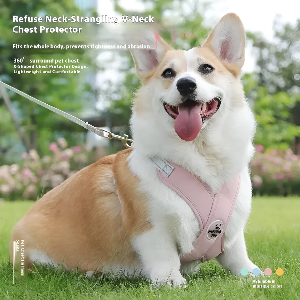 A blue polyester dog harness with an attached rope, laid flat, showing adjustable straps and metal clasp.