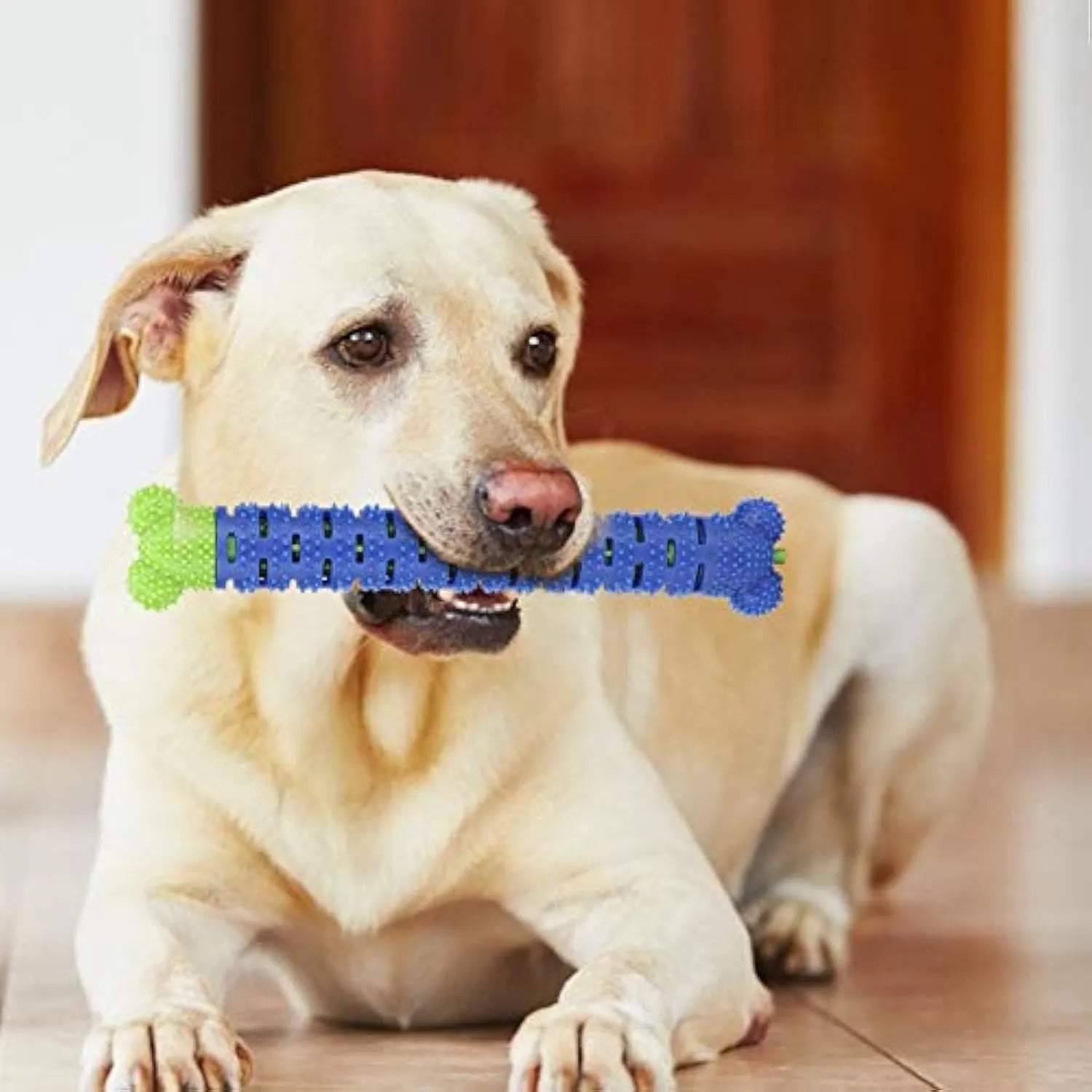 Blue green dog dental cleaning toy with silicone bristles and massage nodules for tooth cleaning and chewing