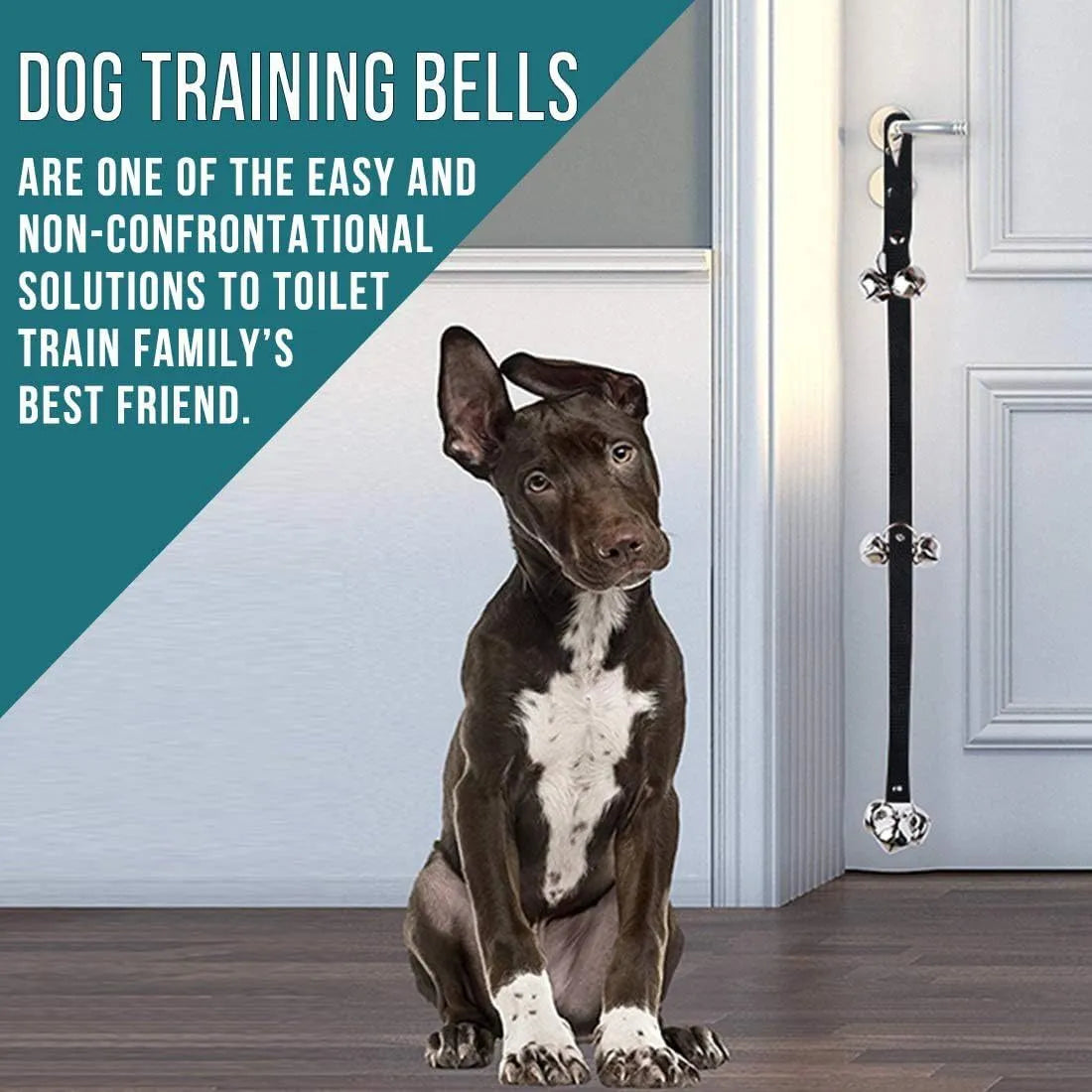 Premium dog training doorbell with seven silver metal bells on adjustable nylon strap