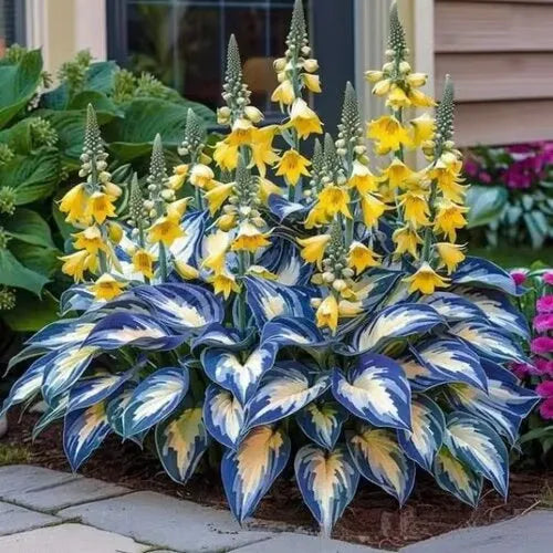 Pack of 50 coloured leaves jade barrettes flower seeds in clear OPP packaging.