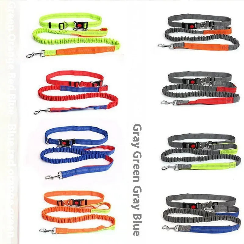 Elastic dog leash with reflective filament in gray and blue colour combination showing 2.5cm width