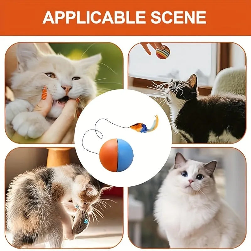 Interactive blue and orange cat toy ball with removable plush mouse for feline play