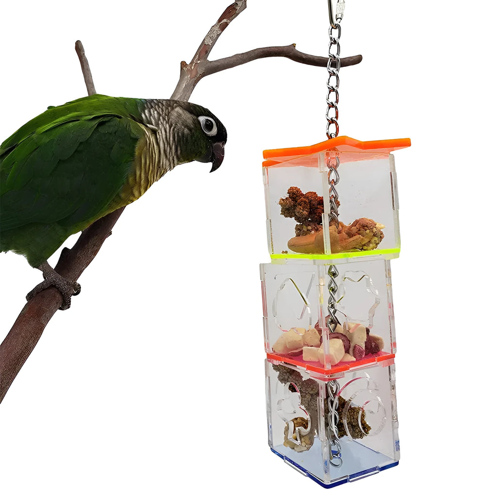 Transparent acrylic parrot foraging toy measuring 32cm long for bird enrichment with fruits and nuts