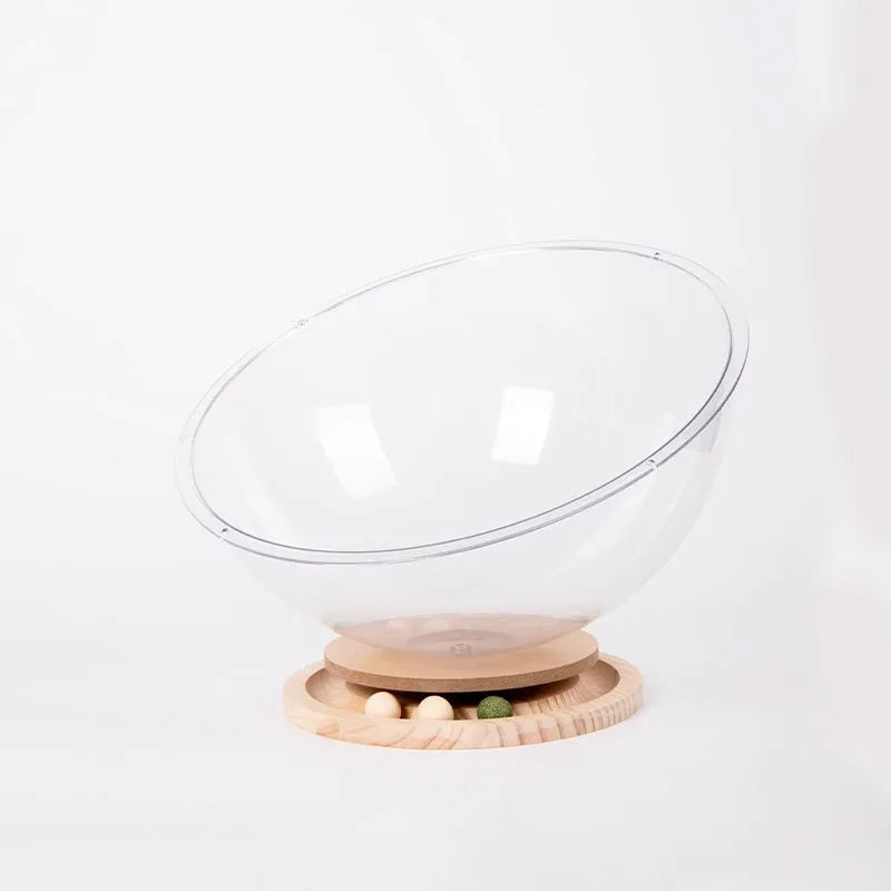 Transparent acrylic cat space capsule bed showing enclosed bathtub-like design.