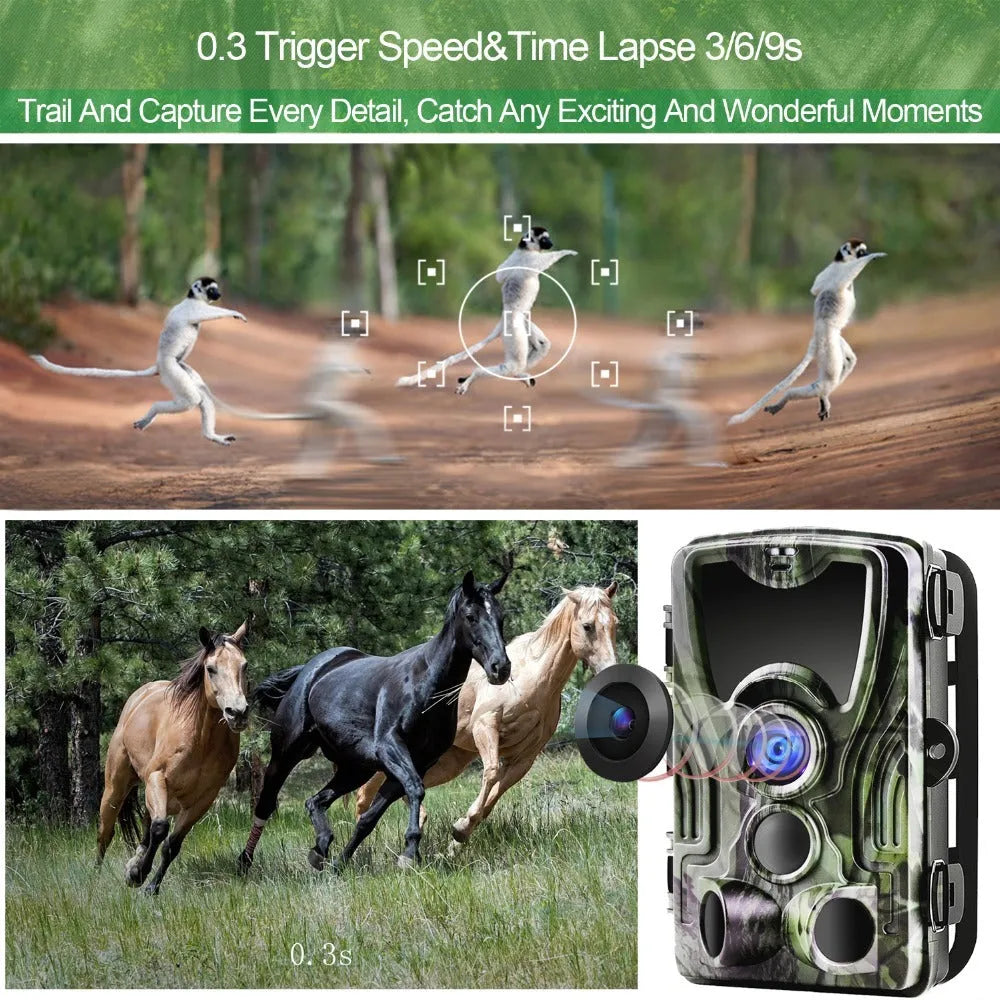 HC801A hunting camera with 36 infrared lights and 2.4-inch LCD screen mounted outdoors