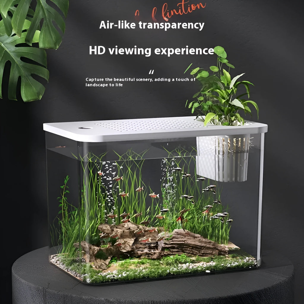 Medium plastic betta fish tank with cover in black or white colour measuring 32cm length