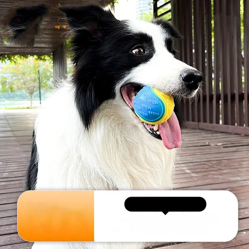 TPR rubber dog training ball in luminous colours with 6.5cm diameter for dental care