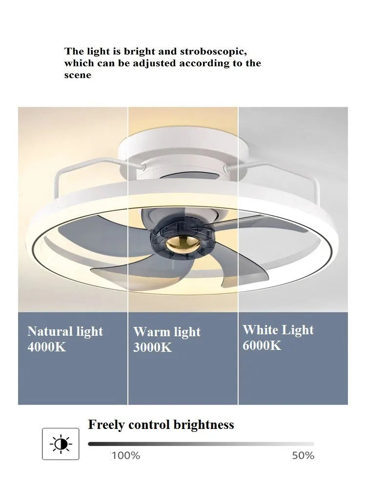 Modern overhead fan lamp with 500mm blades and integrated acrylic light shade in multiple colour options