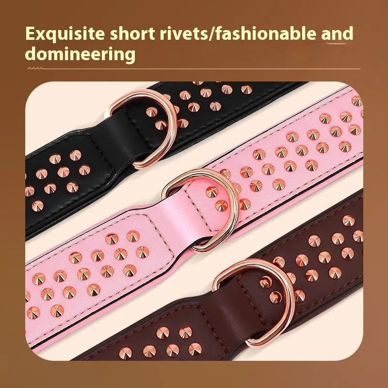 Leather dog collar with a line of stainless steel rivets, shown in black colour.