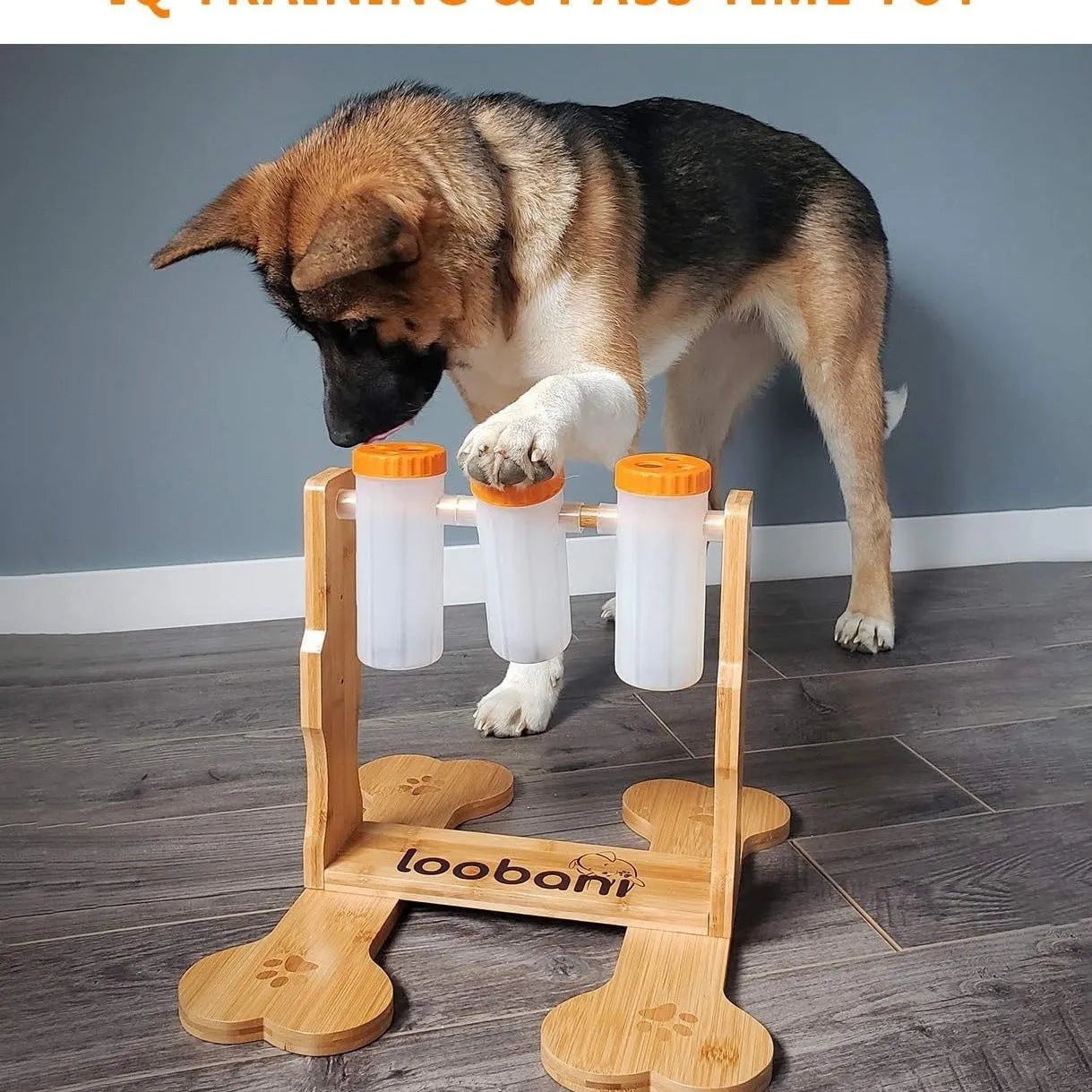 Natural wood dog puzzle toy treat dispenser measuring 31x30x20cm